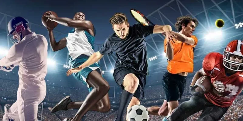 Các bộ môn phổ biến